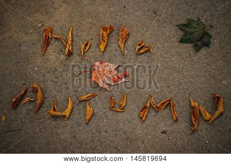 Word hello autumn lined with fallen leaves on the pavement