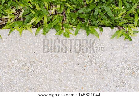 Gravel texture and strip grass as background copy space