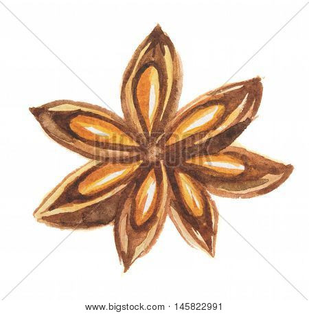 Isolated star anise on white background. Food seasoning and aromatherapy. Asian aromatic herb. Brown seeds.