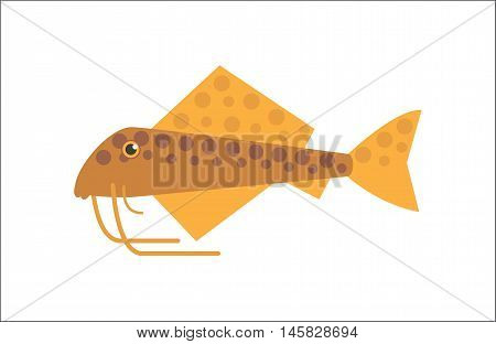 Aquarium fish. Catfish flat illustration. The inhabitants of marine reef aquariums and ponds