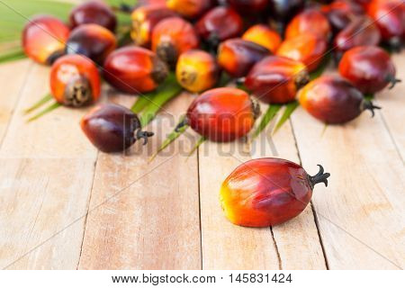 Commercial Palm Oil Cultivation. Since Palm Oil Contains More Saturated Fats  Its Use In Food. Oil F