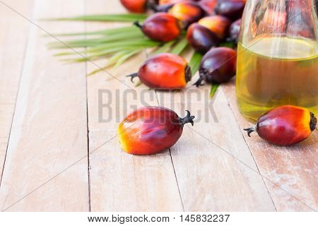 Commercial Palm Oil Cultivation. Since Palm Oil Contains More Saturated Fats Than Oils Made From Can