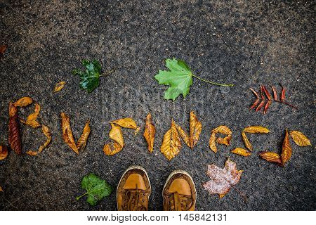 Word business lined with fallen leaves on wet asphalt
