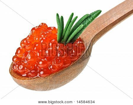 Rosso salmone caviale Heap In cucchiaio di legno con foglia di rosmarino