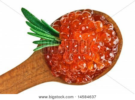 Rosso salmone caviale Heap In cucchiaio di legno con foglia di rosmarino
