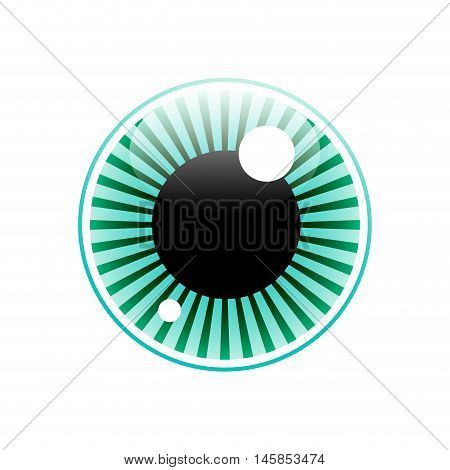 Vector sign eye iris on white background