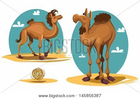 Cartoon camel. Africa. Desert landscape Vector illustration