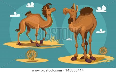 Cartoon camel. Africa. Desert landscape Vector illustration