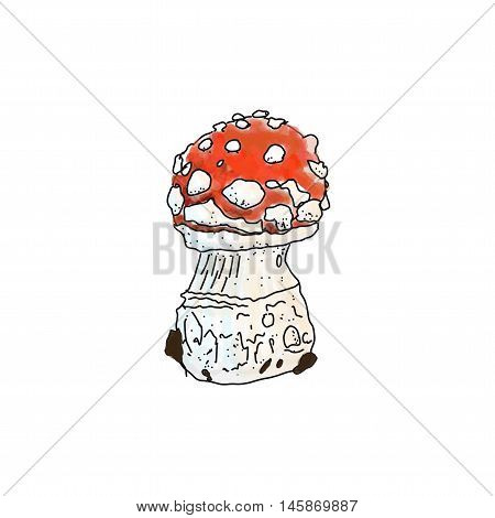 Vector illustration of amanita muscaria poisonus mushroom