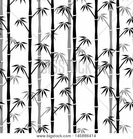 White silhouette of bamboo on black background