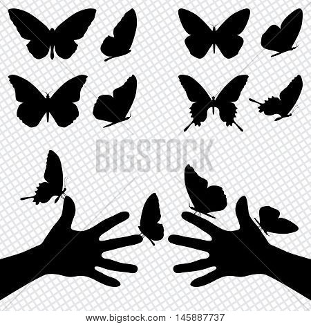 Collection Silhouettes Of A Butterflies. Sitting On The Hands