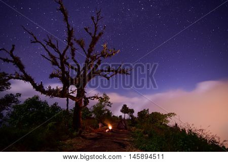 Stars and fog at night in the mountains at Chiang Mai, Thailand.