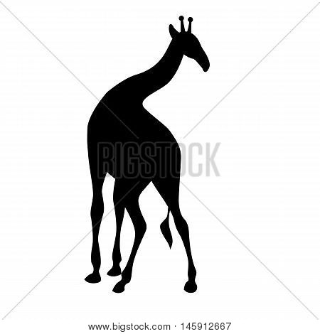 Giraffe standing  black silhouette vector illustration isolated