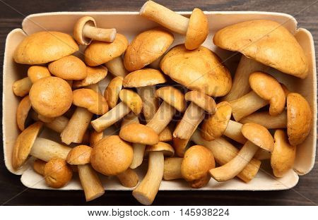 Edible bovine bolete mushrooms on a wooden background.
