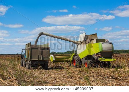 Combine harvester overloads sunflower seeds in a tractor trailer on the field during the autumn harvest.