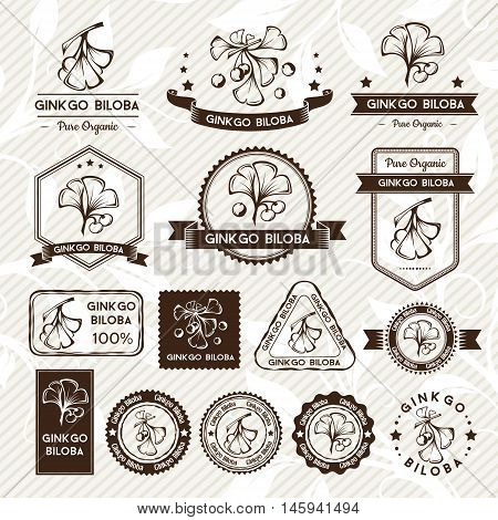 Ginkgo biloba. Labels stamps and badges collection. Vector decorative isolated elements for package design. Monochrome version