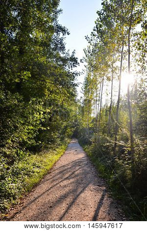 Countryside Desert Dirt Path
