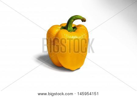 A shot of a fresh yellow bell pepper on white background for Dehydration Project Day 7. The surface of the pepper has shown some loss in water and more wrinkles were observed.