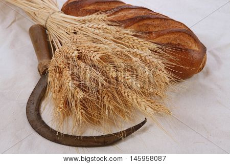 bunch of mown wheat ears with vintage handmade reaper hook sickle and rye dark white french fresh bread loaf on light linen tablecloth
