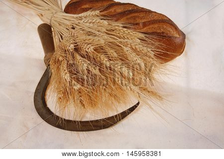 bunch of mown wheat ears with vintage handmade reaper hook sickle and rye dark white french fresh bread loaf on light linen tablecloth