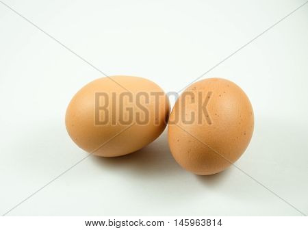 The Isolated Egg With With White BackGround