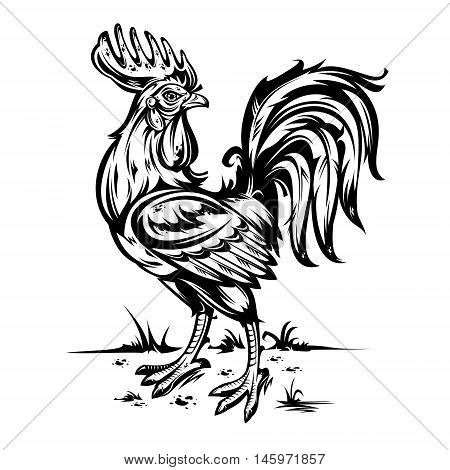 Vector illustration of a cock. Rooster symbol 2017 year