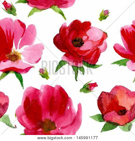 Handwrite roses floral bouquet in watercolor technic. Could be used for creation: backgrounds, similars, pattern, posters, cards.