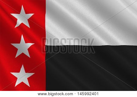 Flag of Laredo is the county of Texas United States. 3D illustration