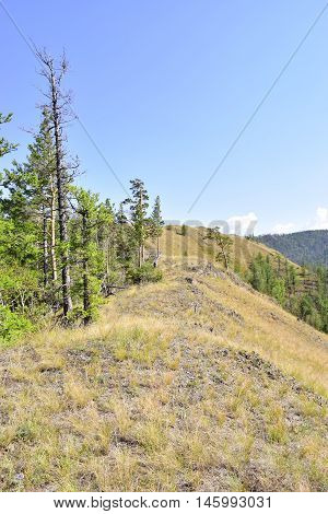 Not high relief mountain with trees and grass