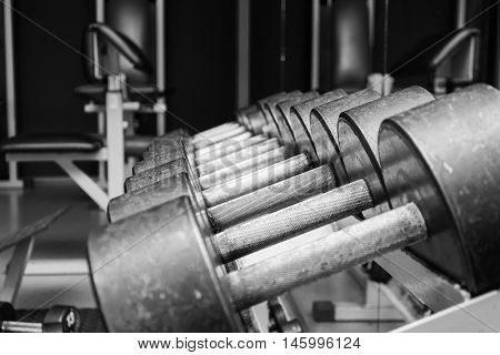 dumbbells in sports club. Weight training equipment