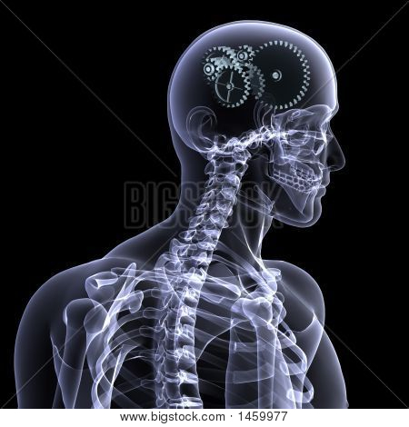Skelet X-Ray - hjul en drejning