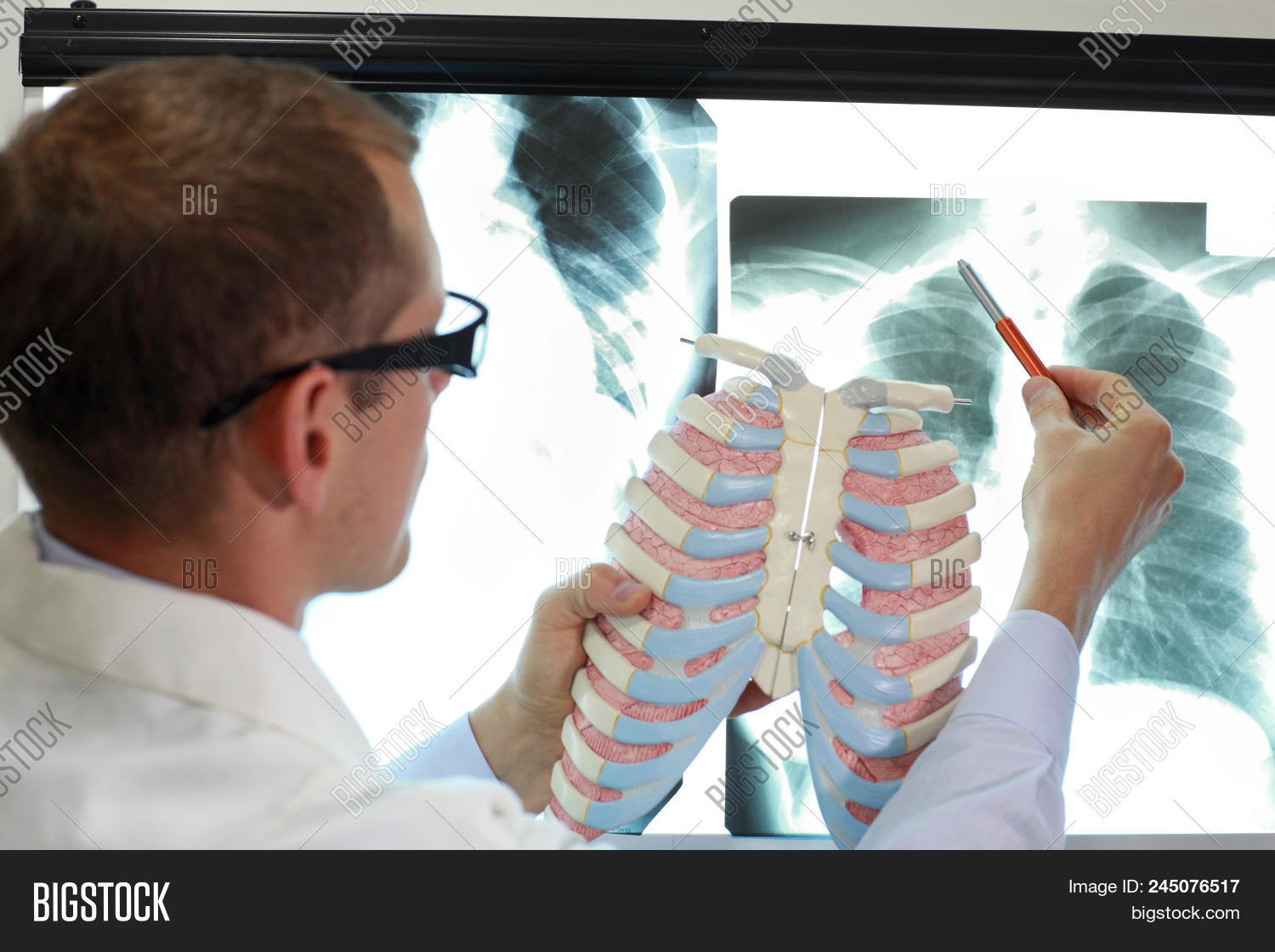 Doctor Ribs Lungs Image & Photo (Free Trial) Bigstock