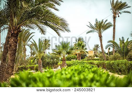 Tropical Resort With Palm Trees Near Beach
