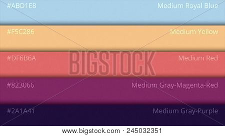 Color Pallette, Cosmic Colors. Color Palette With Various Samples. Paint Selection Catalog.