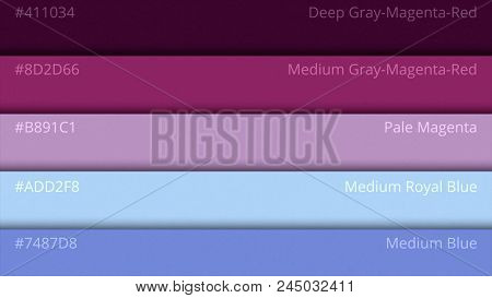 Color Pallette, Cosmic Colors. Color Palette With Various Samples. Paint Selection Catalog.