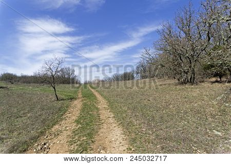 A Dirt Road In The Mountains. The Tokluk-syrt Range, Crimea. Spring, Early April.