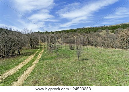The Dirt Road Descending From The Tokluk-syrt Mountain Ridge, Crimea. Spring, Early April.