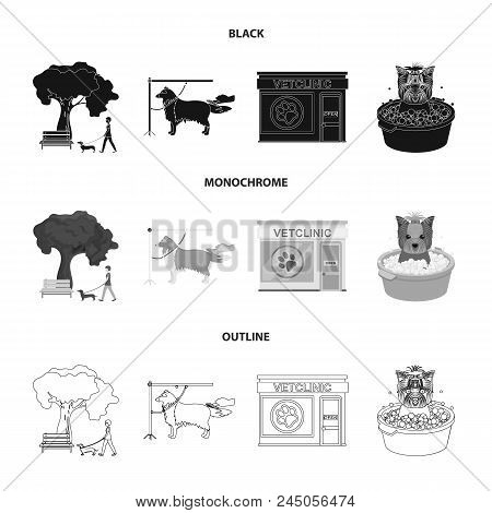 Walking With A Dog In The Park, Combing A Dog, A Veterinarian's Office, Bathing A Pet. Vet Clinic An