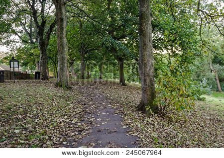 An Autumnal Walkway In Backhouse Park, Sunderland