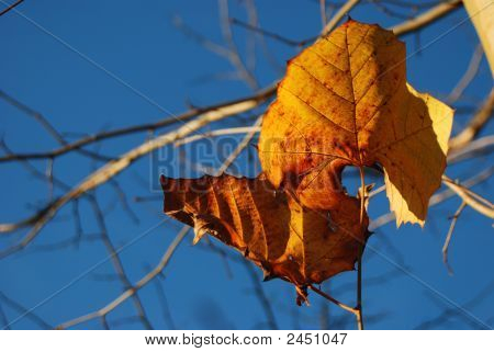 Herbst geht