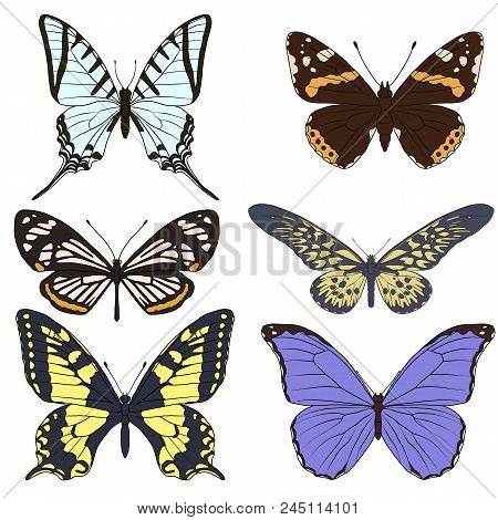 Vector Set Of Butterflies, Hand Drawn Illustration