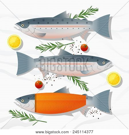 Set Of Fresh Raw Salmon Fish And Spices Isolated On Marble Stone Background, Vector, Illustration