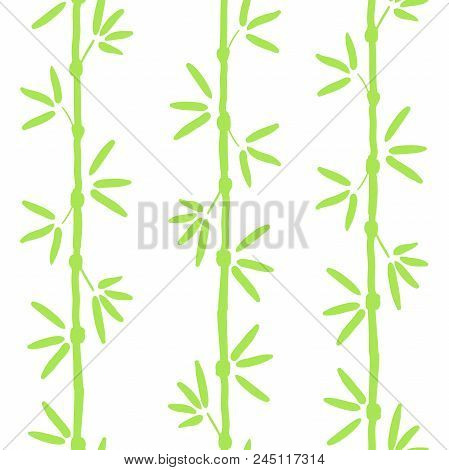 Vector Seamless Bamboo Pattern. Green Asian Pattern With Tropical Bamboo Tree. For Wallpapers, Web B