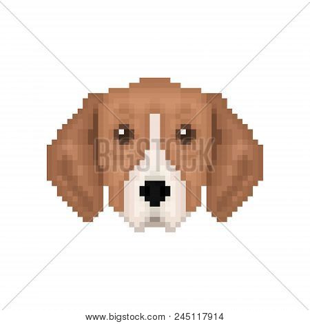 Portrait Of Puppy Great Anglo-french Tricolour Hound. Pixel Art Dog Icon. Vector Illustration.