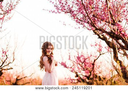 A Girl Is Walking Among The Blooming Peaches