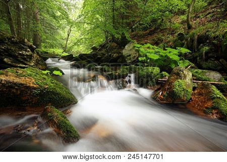 Forest stream Nature background Forest stream river Nature background Forest stream brook Nature background Forest stream spring deciduous trees water Nature background foliage leaves waterfall Nature background Natural environment Nature background.