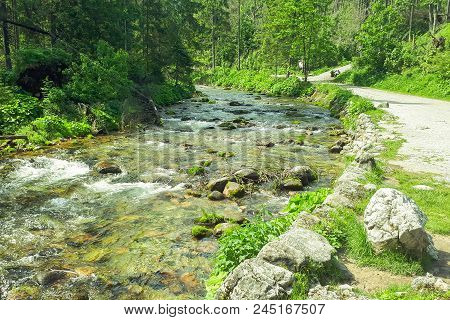 A Mountain Stream Seen On The Way To The Koscielisko Valley In Poland