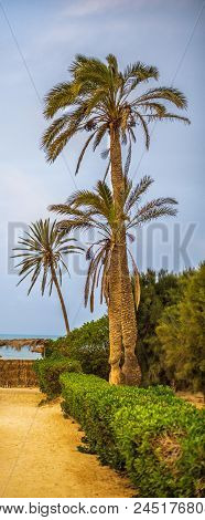 Way To The Sandy Beach On Tropical Resort With Palm Trees
