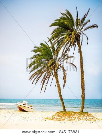 Card From Tropical Vacations - Palm Trees On White Sand Beach And Powerboat