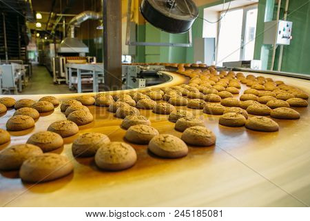 Pastry On Conveyor Line, Food Production Factory Or Plant With Machinery. Making Cookies Process.